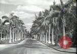 Image of car on a road Miami Florida USA, 1936, second 7 stock footage video 65675031913