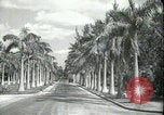 Image of car on a road Miami Florida USA, 1936, second 8 stock footage video 65675031913