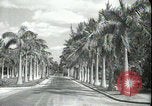 Image of car on a road Miami Florida USA, 1936, second 9 stock footage video 65675031913