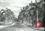 Image of car on a road Miami Florida USA, 1936, second 10 stock footage video 65675031913