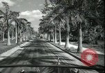 Image of car on a road Miami Florida USA, 1936, second 35 stock footage video 65675031913