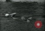 Immagine di Piscina West Palm Beach Florida USA, 1936, secondo 36 filmato di repertorio 65675031918