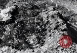 Standbild Yellowstone National Park United States USA, 1940, aus Sekunde 7 historischem Filmmaterial Videoclip 65675031923