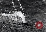 Standbild Yellowstone National Park United States USA, 1940, aus Sekunde 23 historischem Filmmaterial Videoclip 65675031923