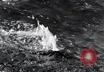 Standbild Yellowstone National Park United States USA, 1940, aus Sekunde 24 historischem Filmmaterial Videoclip 65675031923