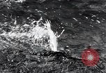 Standbild Yellowstone National Park United States USA, 1940, aus Sekunde 25 historischem Filmmaterial Videoclip 65675031923