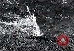 Standbild Yellowstone National Park United States USA, 1940, aus Sekunde 26 historischem Filmmaterial Videoclip 65675031923