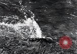 Standbild Yellowstone National Park United States USA, 1940, aus Sekunde 27 historischem Filmmaterial Videoclip 65675031923