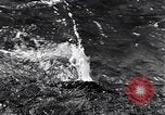 Standbild Yellowstone National Park United States USA, 1940, aus Sekunde 28 historischem Filmmaterial Videoclip 65675031923