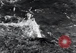 Standbild Yellowstone National Park United States USA, 1940, aus Sekunde 29 historischem Filmmaterial Videoclip 65675031923
