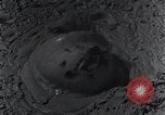 Standbild Yellowstone National Park United States USA, 1940, aus Sekunde 52 historischem Filmmaterial Videoclip 65675031923