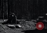 Standbild Yellowstone National Park United States USA, 1940, aus Sekunde 31 historischem Filmmaterial Videoclip 65675031924