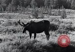 Standbild Yellowstone National Park United States USA, 1940, aus Sekunde 44 historischem Filmmaterial Videoclip 65675031925