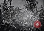Standbild Ford Motor Company Dearborn Michigan USA, 1938, aus Sekunde 56 historischem Filmmaterial Videoclip 65675031926