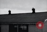 Image of Factories United States USA, 1925, second 51 stock footage video 65675031933