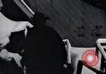 Image of Factories United States USA, 1925, second 58 stock footage video 65675031933