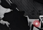 Image of Factories United States USA, 1925, second 60 stock footage video 65675031933