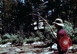 Image of national parks California United States USA, 1970, second 6 stock footage video 65675031948