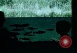 Image of national parks California United States USA, 1970, second 27 stock footage video 65675031948