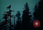 Image of campgrounds California United States USA, 1970, second 16 stock footage video 65675031949