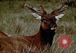 Image of campgrounds California United States USA, 1970, second 18 stock footage video 65675031949