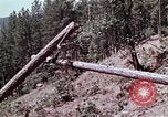 Standbild Hubschrauber California United States USA, 1970, aus Sekunde 3 historischem Filmmaterial Videoclip 65675031950