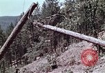Standbild Hubschrauber California United States USA, 1970, aus Sekunde 4 historischem Filmmaterial Videoclip 65675031950