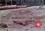 Standbild Hubschrauber California United States USA, 1970, aus Sekunde 25 historischem Filmmaterial Videoclip 65675031950