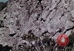 Image of peregrine falcon California United States USA, 1970, second 4 stock footage video 65675031951