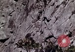 Image of peregrine falcon California United States USA, 1970, second 5 stock footage video 65675031951