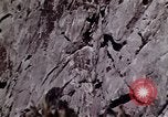 Image of peregrine falcon California United States USA, 1970, second 6 stock footage video 65675031951