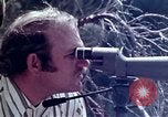 Image of peregrine falcon California United States USA, 1970, second 7 stock footage video 65675031951
