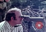 Image of peregrine falcon California United States USA, 1970, second 8 stock footage video 65675031951
