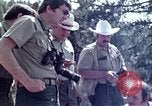 Image of peregrine falcon California United States USA, 1970, second 9 stock footage video 65675031951