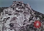 Image of peregrine falcon California United States USA, 1970, second 12 stock footage video 65675031951
