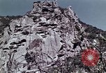 Image of peregrine falcon California United States USA, 1970, second 13 stock footage video 65675031951
