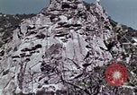 Image of peregrine falcon California United States USA, 1970, second 14 stock footage video 65675031951