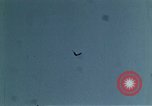 Image of peregrine falcon California United States USA, 1970, second 15 stock footage video 65675031951