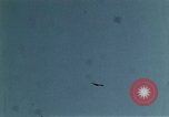 Image of peregrine falcon California United States USA, 1970, second 16 stock footage video 65675031951