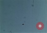 Image of peregrine falcon California United States USA, 1970, second 17 stock footage video 65675031951