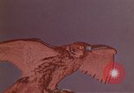 Image of peregrine falcon California United States USA, 1970, second 27 stock footage video 65675031951