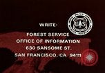 Image of peregrine falcon California United States USA, 1970, second 32 stock footage video 65675031951