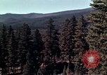 Image of reforest areas California United States USA, 1970, second 4 stock footage video 65675031952