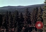 Image of reforest areas California United States USA, 1970, second 5 stock footage video 65675031952