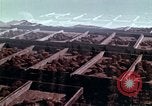 Image of reforest areas California United States USA, 1970, second 14 stock footage video 65675031952