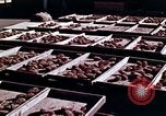 Image of reforest areas California United States USA, 1970, second 16 stock footage video 65675031952