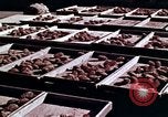 Image of reforest areas California United States USA, 1970, second 17 stock footage video 65675031952