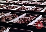 Image of reforest areas California United States USA, 1970, second 18 stock footage video 65675031952