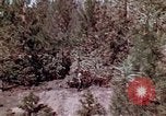 Image of reforest areas California United States USA, 1970, second 33 stock footage video 65675031952