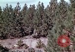 Image of reforest areas California United States USA, 1970, second 34 stock footage video 65675031952